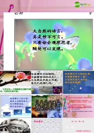 八年级语文上册 16(大自然的语言)教学课件 人教新课标版 课件