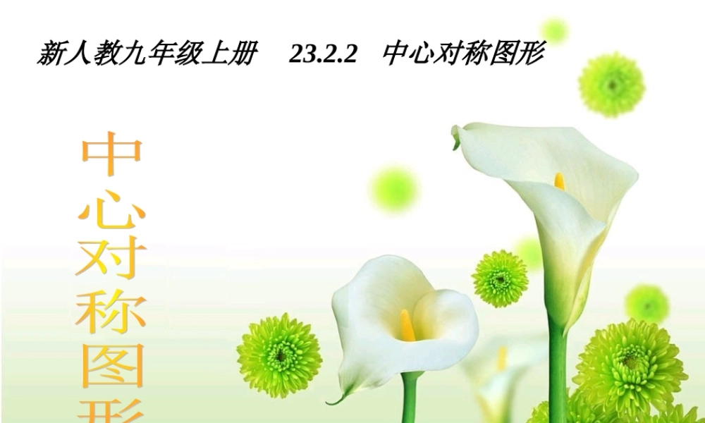 九年级数学上册 2322中心对称图形2课件 人教新课标版 课件
