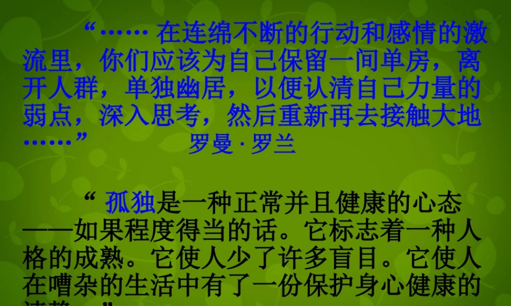 山东省无棣县第一实验学校九年级语文上册 10 孤独之旅课件 新人教版 课件
