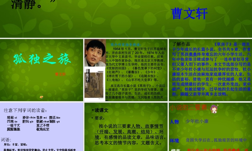 山东省无棣县第一实验学校九年级语文上册 10 孤独之旅课件 新人教版 课件