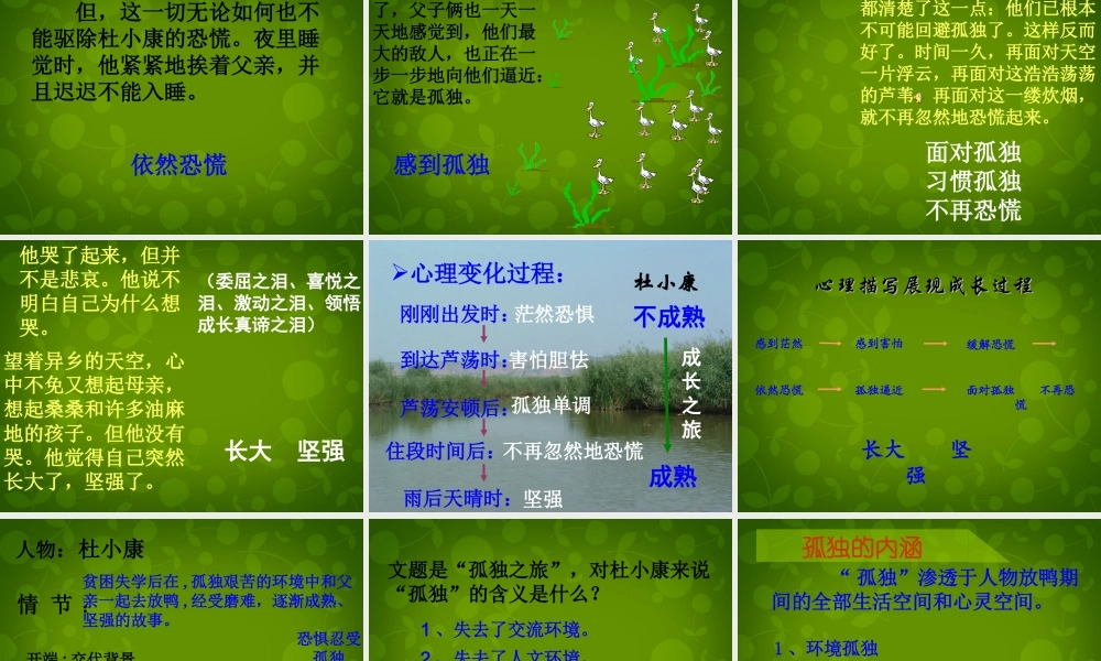 山东省无棣县第一实验学校九年级语文上册 10 孤独之旅课件 新人教版 课件