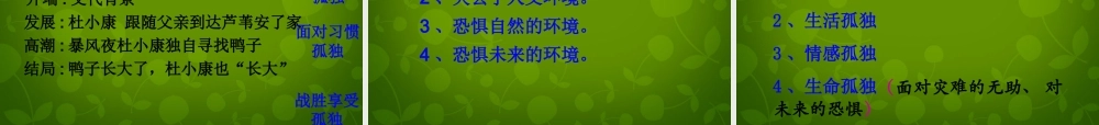 山东省无棣县第一实验学校九年级语文上册 10 孤独之旅课件 新人教版 课件