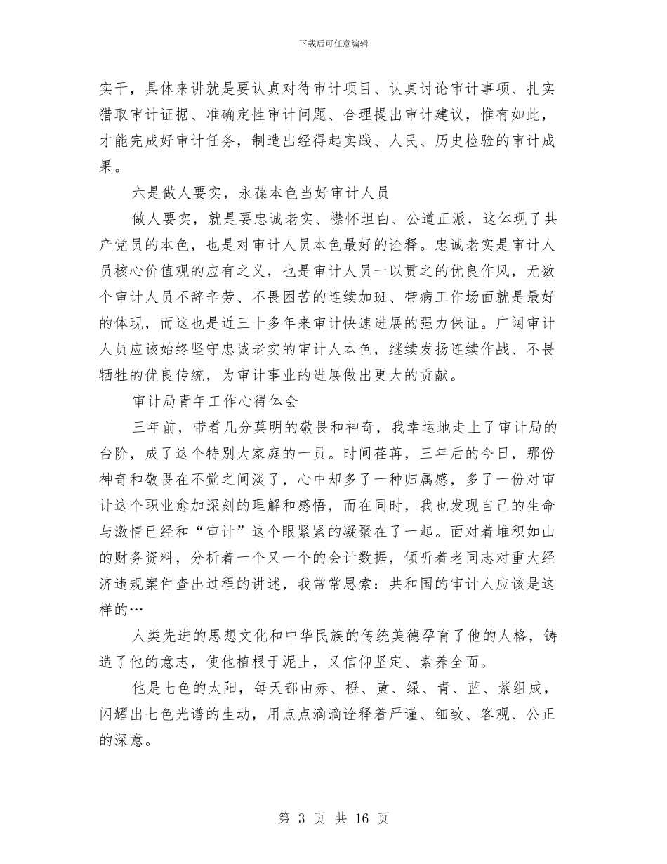 审计心得体会4篇与审计执法专项行动工作方案汇编_第3页