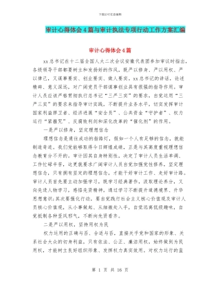 审计心得体会4篇与审计执法专项行动工作方案汇编