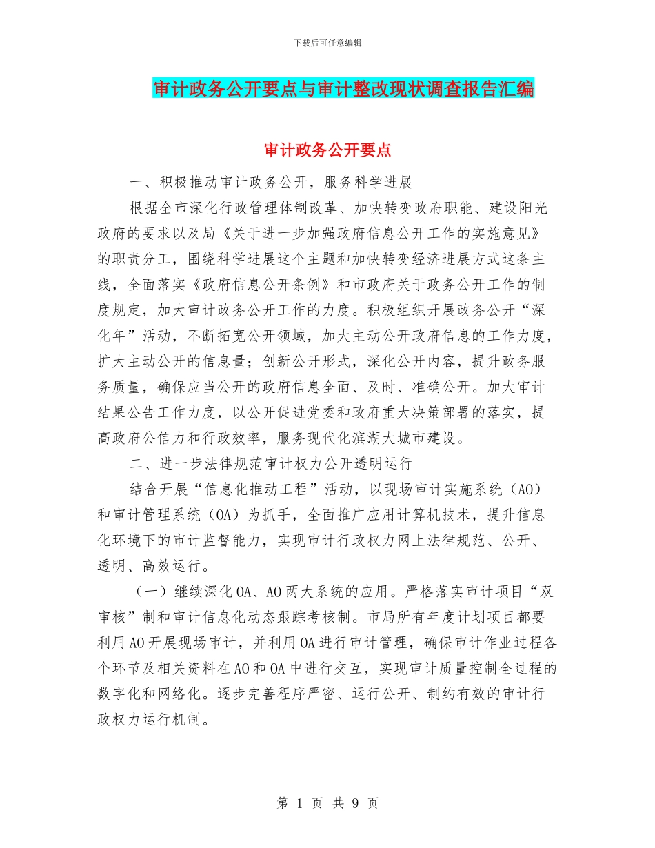 审计政务公开要点与审计整改现状调查报告汇编_第1页