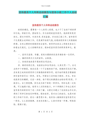 宣传委员个人年终总结报告与宣传小组工作个人总结汇编