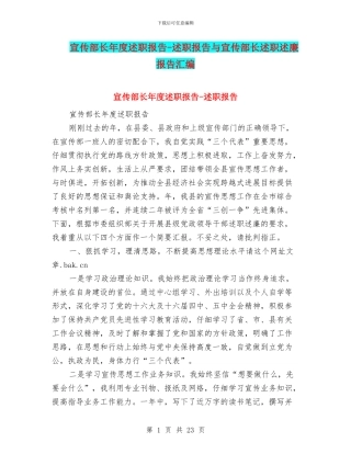 宣传部长年度述职报告