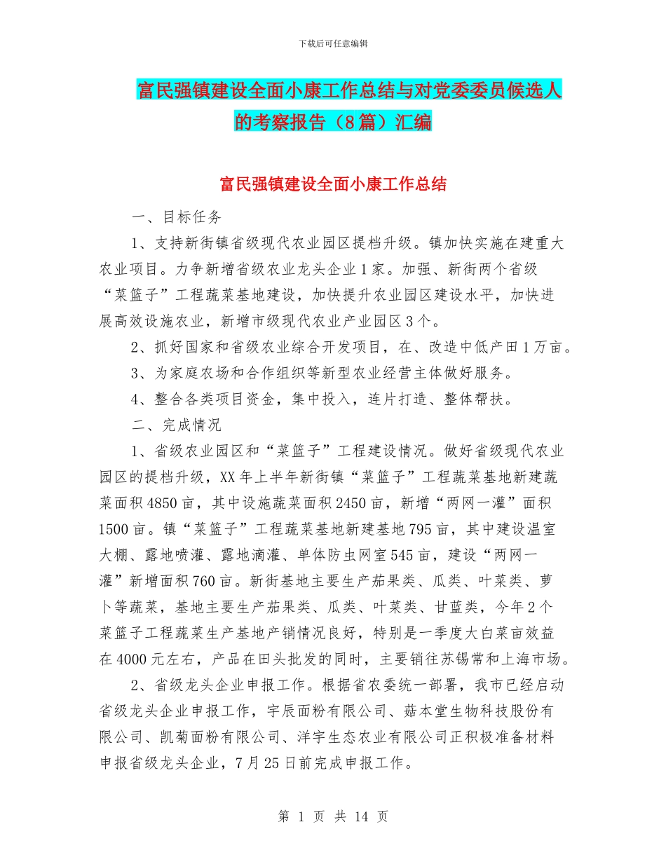 富民强镇建设全面小康工作总结与对党委委员候选人的考察报告汇编_第1页