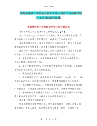 导购员年终工作总结及明年工作计划范文与导购员转正工作总结范文汇编
