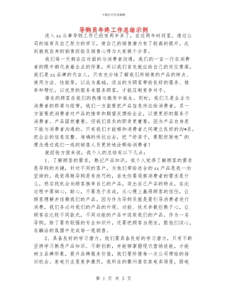 导购员年终工作总结示例