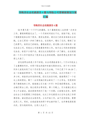 导购员社会实践报告4篇与寿险公司营销部策划方案汇编