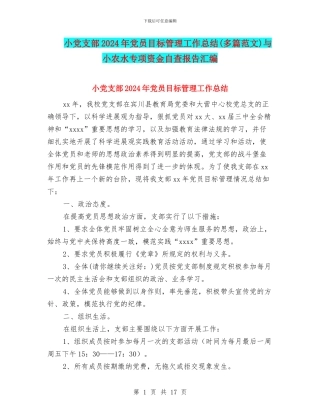 小党支部2024年党员目标管理工作总结与小农水专项资金自查报告汇编