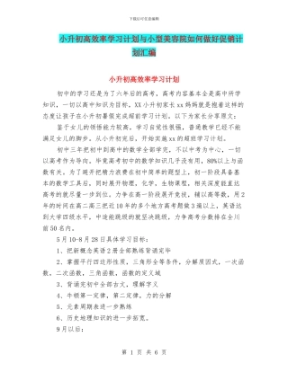 小升初高效率学习计划与小型美容院如何做好促销计划汇编