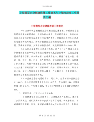 小型微型企业健康发展工作意见与小城市培育工作报告汇编