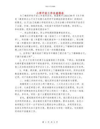 小学平安工作自查报告