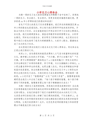 小学见习心得体会