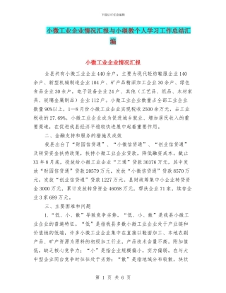 小微工业企业情况汇报与小继教个人学习工作总结汇编