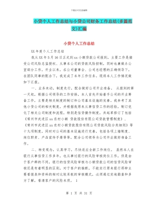 小贷个人工作总结与小贷公司财务工作总结汇编