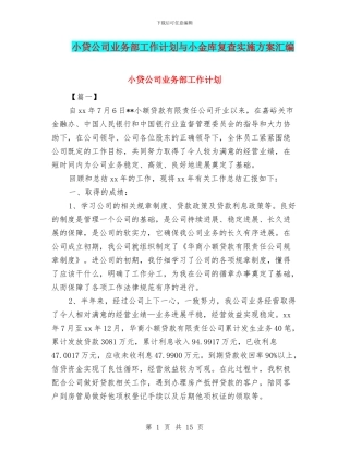 小贷公司业务部工作计划与小金库复查实施方案汇编