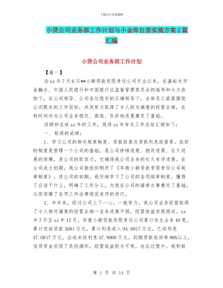 小贷公司业务部工作计划与小金库自查实施方案2篇汇编