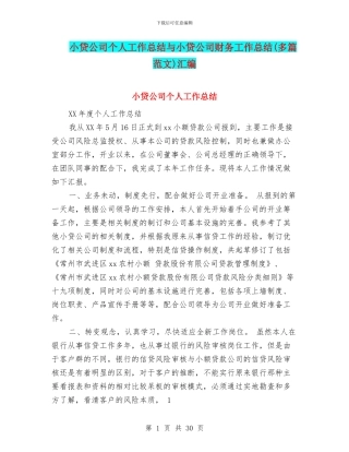 小贷公司个人工作总结与小贷公司财务工作总结汇编