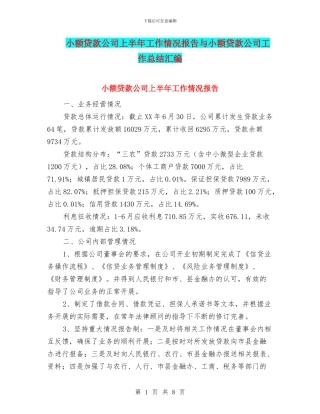 小额贷款公司上半年工作情况报告与小额贷款公司工作总结汇编
