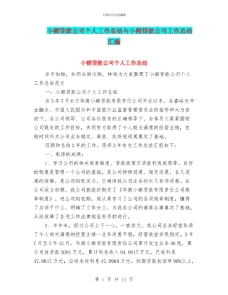 小额贷款公司个人工作总结与小额贷款公司工作总结汇编