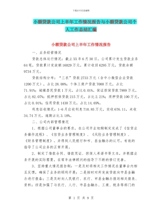 小额贷款公司上半年工作情况报告与小额贷款公司个人工作总结汇编