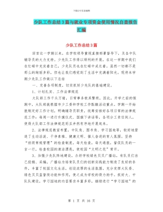 少队工作总结3篇与就业专项资金使用情况自查报告汇编