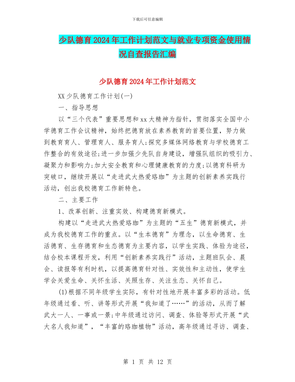 少队德育2024年工作计划范文与就业专项资金使用情况自查报告汇编_第1页