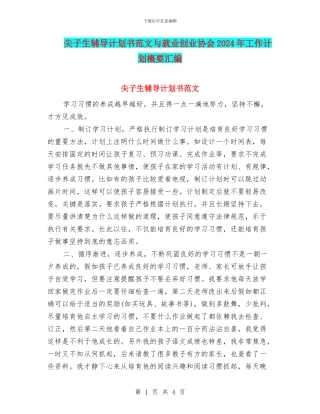 尖子生辅导计划书范文与就业创业协会2024年工作计划概要汇编