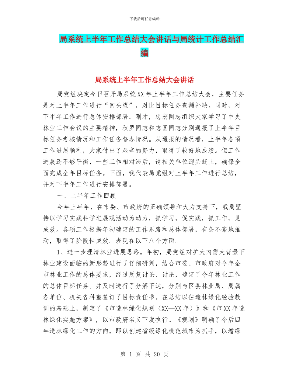 局系统上半年工作总结大会讲话与局统计工作总结汇编_第1页
