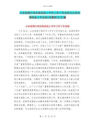 山东省统计局全面总结上半年工作工作总结与山洪灾害防御工作总结汇编