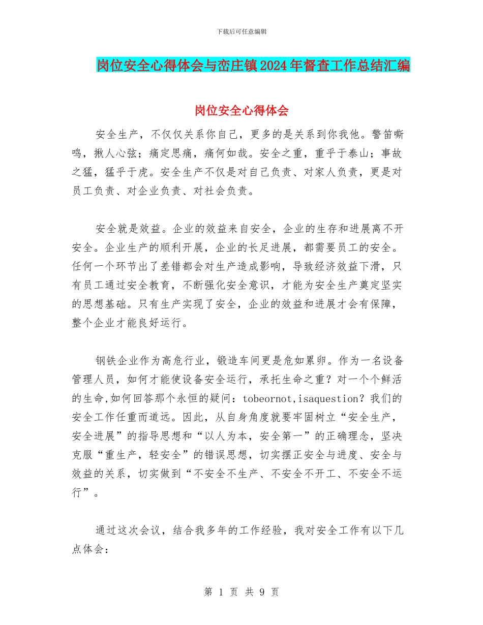 岗位安全心得体会与峦庄镇2024年督查工作总结汇编_第1页