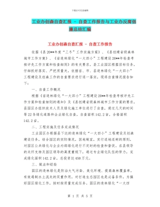 工业办创森自查汇报