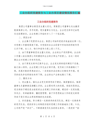 工业办组织党建报告与工业办项目建设情况报告汇编