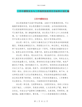 工作中感悟安全与工作场所促进项目目标和计划汇编