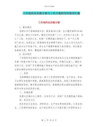 工作场所总实施方案与工作方案的写作指导汇编