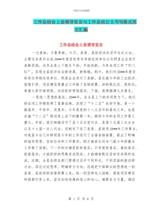 工作总结会上县领导发言与工作总结公文书写格式范文汇编