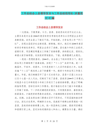 工作总结会上县领导发言与工作总结信用社汇编