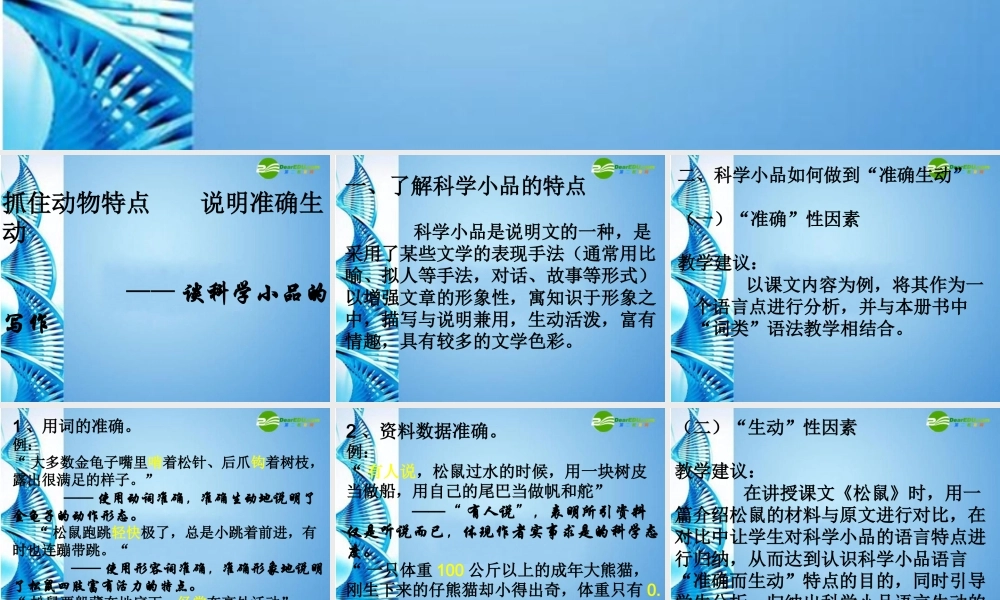 七年级语文下册 说明文写作(抓住特点介绍动物)课件 苏教版 课件