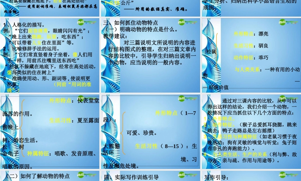 七年级语文下册 说明文写作(抓住特点介绍动物)课件 苏教版 课件