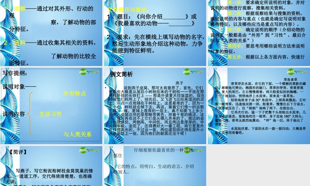 七年级语文下册 说明文写作(抓住特点介绍动物)课件 苏教版 课件