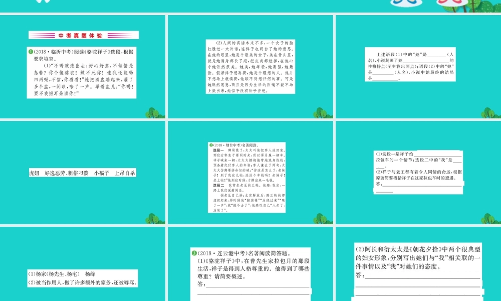 七年级语文下册 第三单元 名著导读(骆驼祥子)圈点与批注习题课件 新人教版 课件