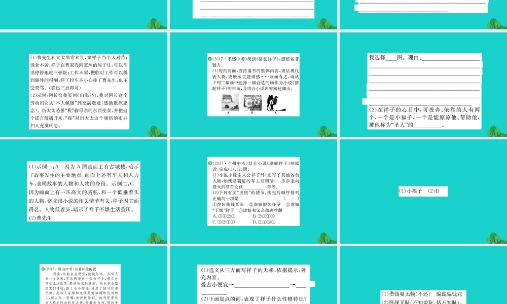 七年级语文下册 第三单元 名著导读(骆驼祥子)圈点与批注习题课件 新人教版 课件