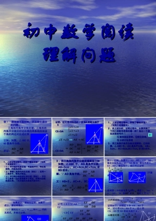 中考数学复习课件：阅读理解型 课件