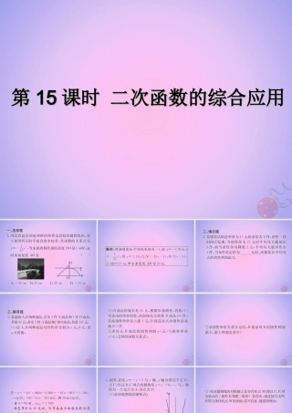 中考数学复习 第15课时 二次函数的综合应用(课后作业)课件