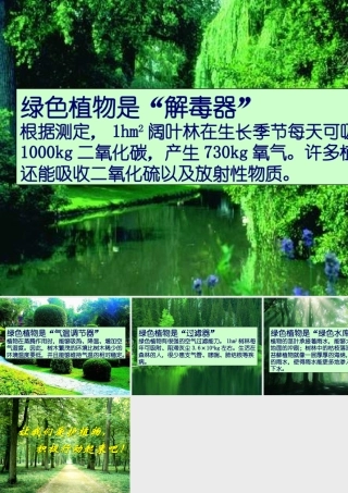 八年级生物上册 第三单元 第五章 绿色植物在生物圈中的作用 绿色植物在生物圈中的作用课件 冀少版 课件