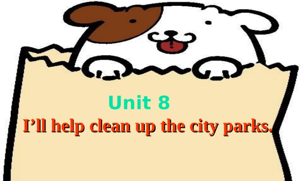 九年级英语 Unit 8 Reading课件 人教新目标版 课件