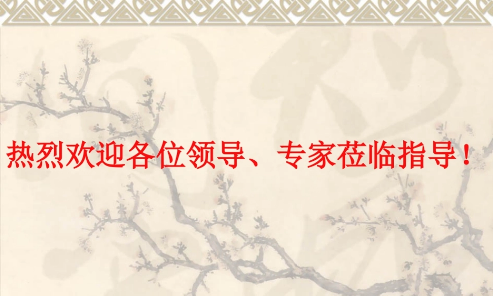 初三化学类比思想在化学解题中的应用 人教版 课件